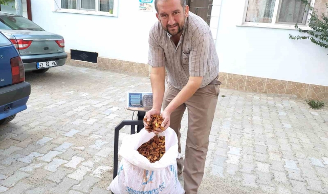 Hisarcık elma kurusunun fiyatı 35 TL'ye yükseldi