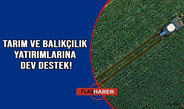 IPARD III projesi ile 211 girişimciye 1,9 milyar lira hibe