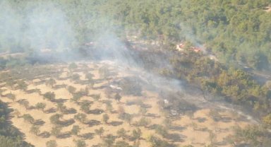 İzmir'de arazide çıkan yangın ormana sıçradı; havadan müdahale de başladı