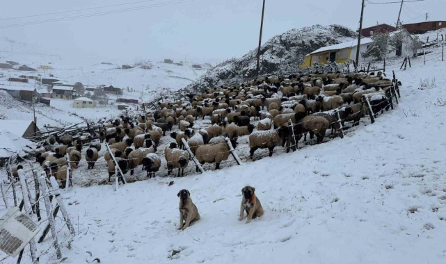 Kadırga Yaylası'na kar düştü, yaylacılar dönüşe geçti