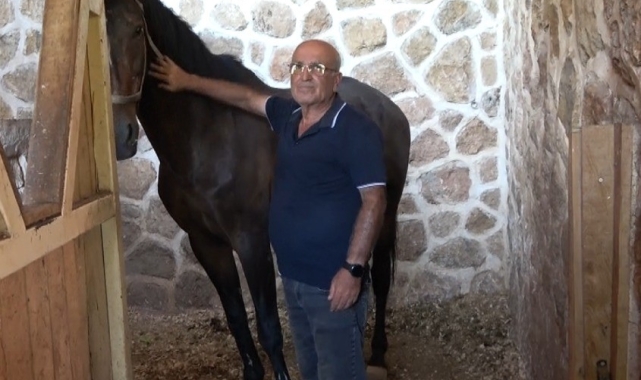 Kahramanmaraş'ta at yetiştiriciliğine ilgi arttı