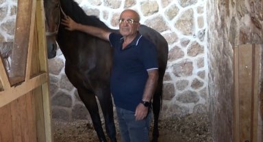 Kahramanmaraş'ta at yetiştiriciliğine ilgi arttı