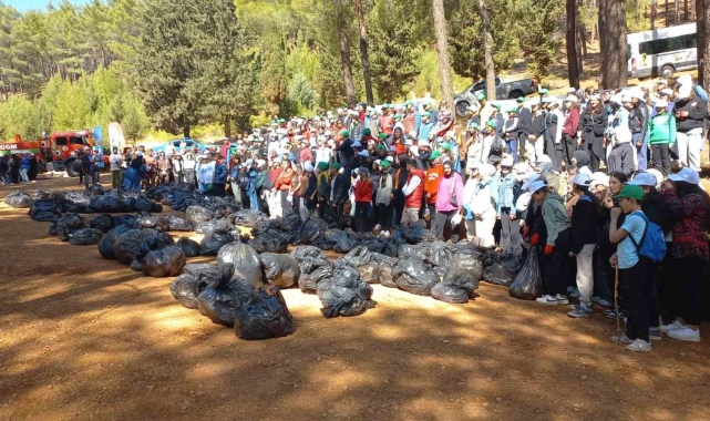 Kahramanmaraş'ta ormanlar temizleniyor