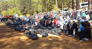 Kahramanmaraş'ta ormanlar temizleniyor