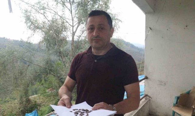 Kahverengi Kokarca ile mücadele zamanı