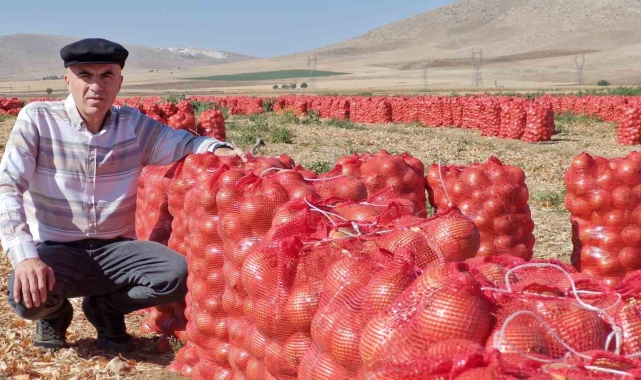 Karaman'da kuru soğan üreticisinin yüzünü güldürüyor