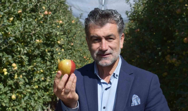 Karaman'da sarı kırmızı elma görenleri şaşırtıyor