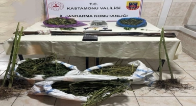 Kastamonu'da 15 kilo 528 gram uyuşturucu ele geçirildi