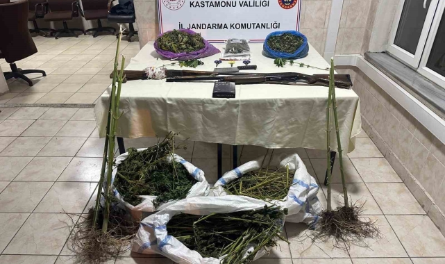 Kastamonu'da 15 kilo esrar ele geçirildi: 3 tutuklama