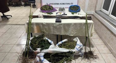 Kastamonu'da 15 kilo esrar ele geçirildi: 3 tutuklama