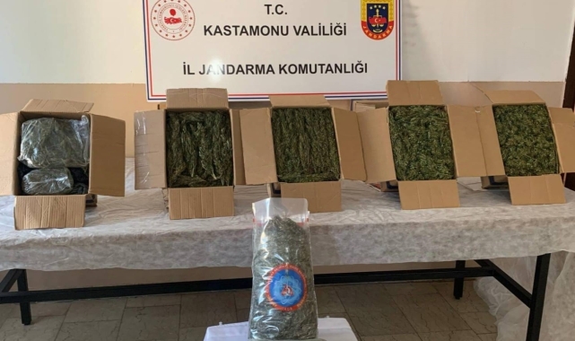 Kastamonu'da esrar ele geçirildi: 1 tutuklama