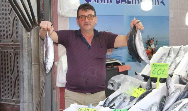 Kastamonu'da kiloluk palamutlar 70 liradan satılıyor