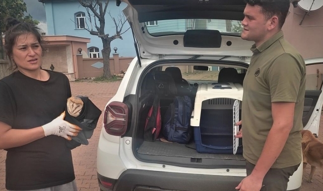 Kastamonu'da sağlıklarına kavuşan yaban hayvanları yeniden doğaya salındı