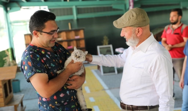 Kayseri'de ilk olan 'Küçük Dostlar Kedi Kasabası' ziyaretçi akınına uğruyor