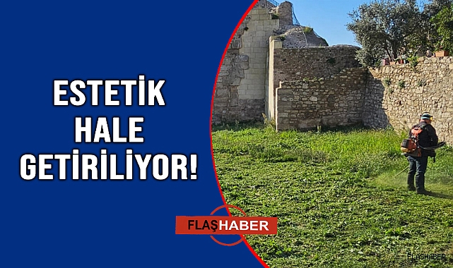 Kent Meydanı yabani otlardan arındırılıyor