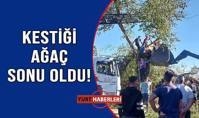 Kestiği ağacın altında can verdi