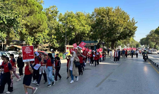 Kızılay Manisa'da sağlıklı yaşam için yürüdü