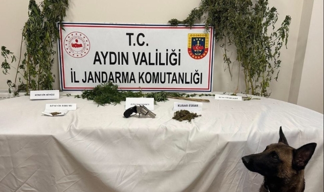 Koçarlı'da uyuşturucu baskını: 1 gözaltı