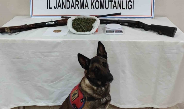 Konya'da jandarma ekiplerinden uyuşturucu operasyonu