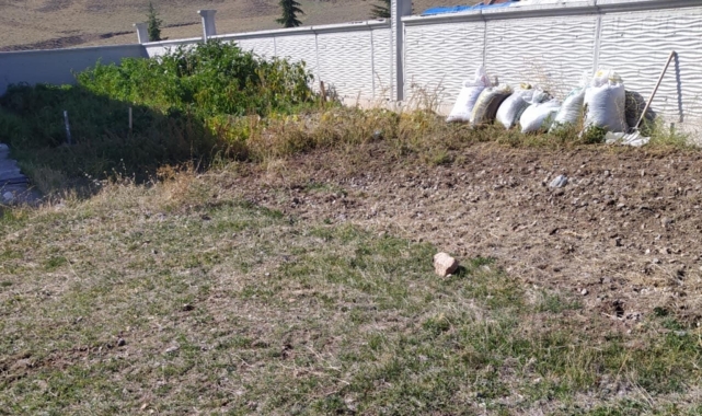 Konya'da yaşlı çift yedikleri mantardan zehirlendi