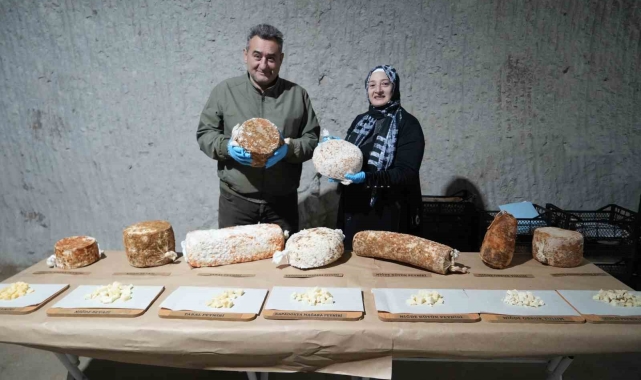 Küften gelen lezzet: Niğde'nin doğal mağara peynirleri