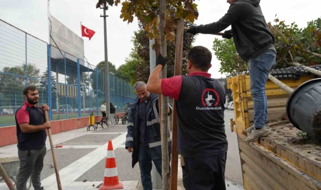 Kuruyan ağaçlar yenilendi