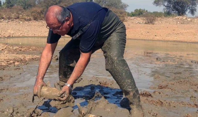 Kuruyan gölette balık kurtarma operasyonu