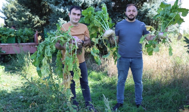 Lokman Hekim, o bitki o kadar faydalı ki tarlasının önünden geçmek bile yeterli diyor!