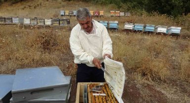 Malatya'da bal hasadı tamamlandı