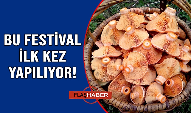 Mantar severler bu festivalde buluşacak