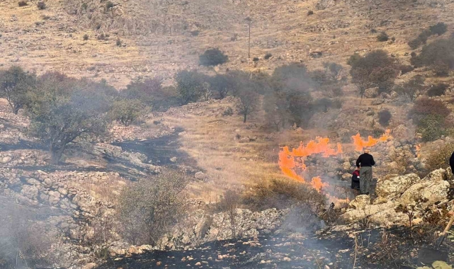 Mardin'de çıkan ot yangını söndürüldü
