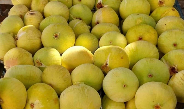 Mersin'de incirin sezonu 80 lirayla kapatması üreticinin yüzünü güldürdü