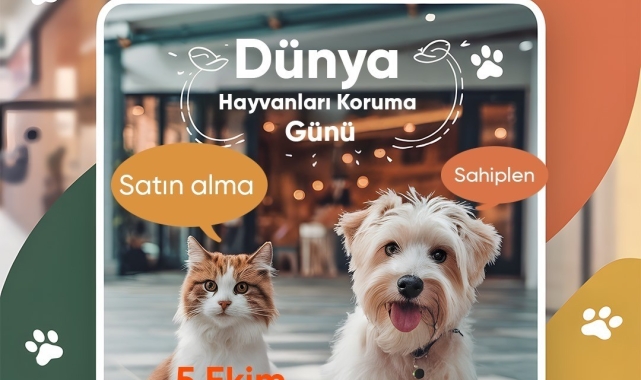 Mersin'de sokak hayvanları sahiplendiriliyor