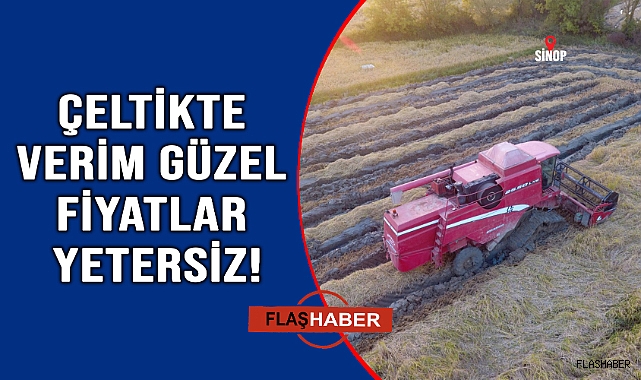 Mertoğlu Köyü’nde çeltik hasadı başladı