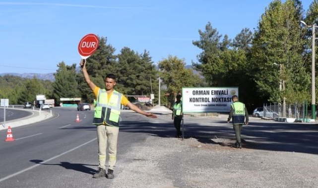 Muğla Orman Bölge Müdürlüğü'nde 75 noktada orman emvali denetimi gerçekleştirildi