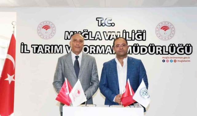 Muğla'da 5 bin büyükbaş hayvan aşılanacak