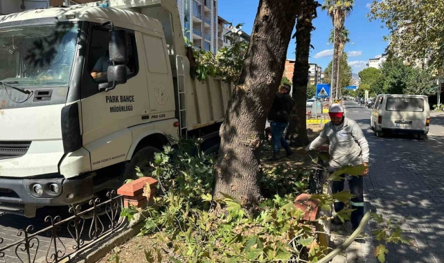 Nazilli Belediyesi kış hazırlıklarına hızla devam ediyor