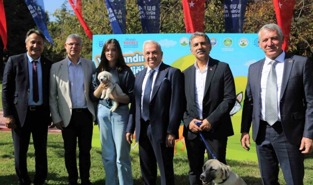 Nilüfer'de can dostlar yeni yuvalarına kavuşuyor