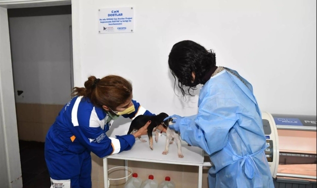 OEDAŞ, 'Can Dostlar' için STK ve yerel yönetimlerle iş birliği yapıyor