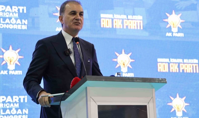 Ömer Çelik'ten 'Yenidoğan çetesi' açıklaması