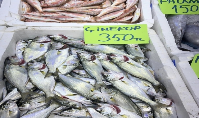 Ordu'da olumsuz hava koşulları balık fiyatlarını artırdı