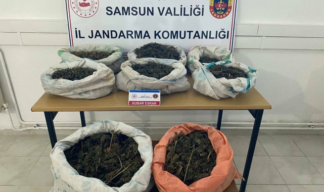 Ormanlık alandaki çadırda 8,5 kilo esrar ele geçirildi