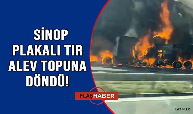 Otoyolda feci kaza