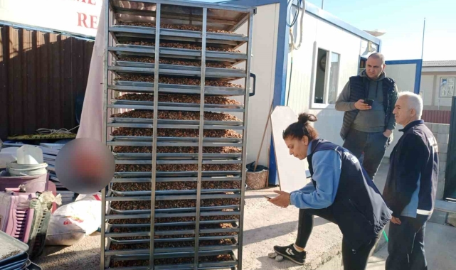 Pastane imalathanelerinde bozulmuş 150 kilogram cevize el konuldu