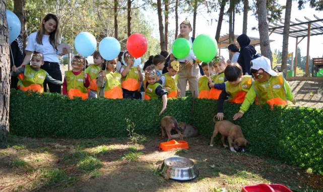'Pati Şenliği'nde can dostlar ilgi odağı oldu