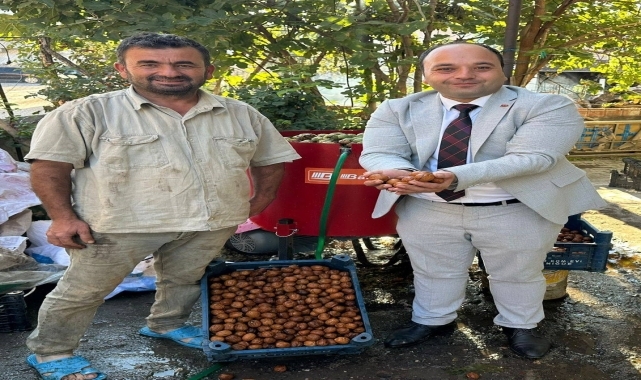 Pazar'da ceviz soyma makineleri üreticilerin işlerini kolaylaştırıyor