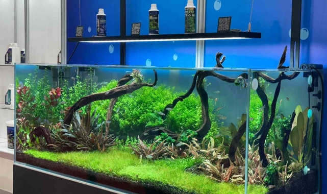 Pet sektörü ithalatını azaltmayı hedefliyor