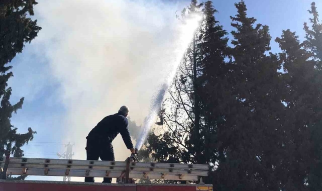 Reyhanlı'da çamlık alanda yangın çıktı