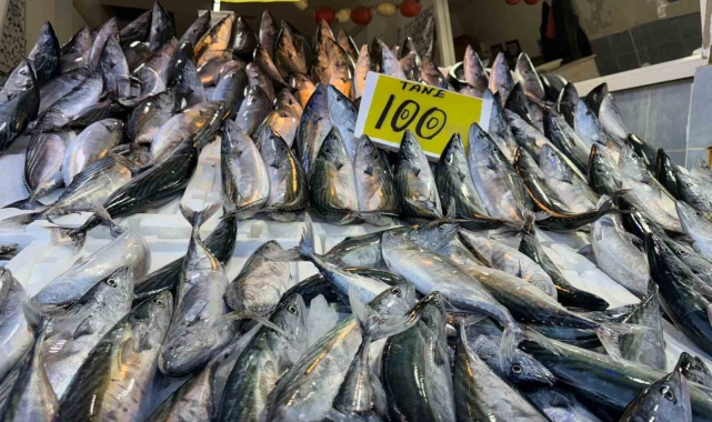 Rize'de hamsi tezgaha 200 TL'den girdi, palamudun saltanatı devam etti