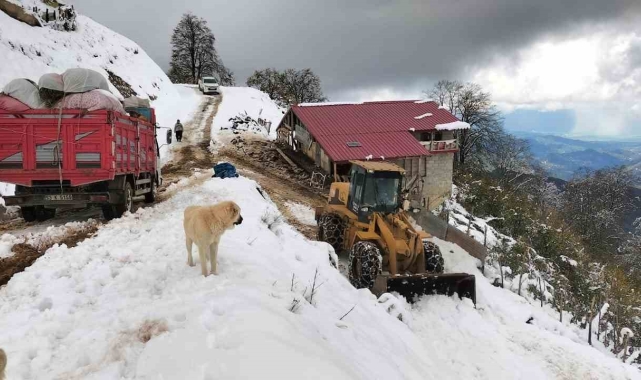 Rize'de yaylada küçükbaş ve büyükbaş hayvanları ile mahsur kalan 6 kişi kurtarıldı